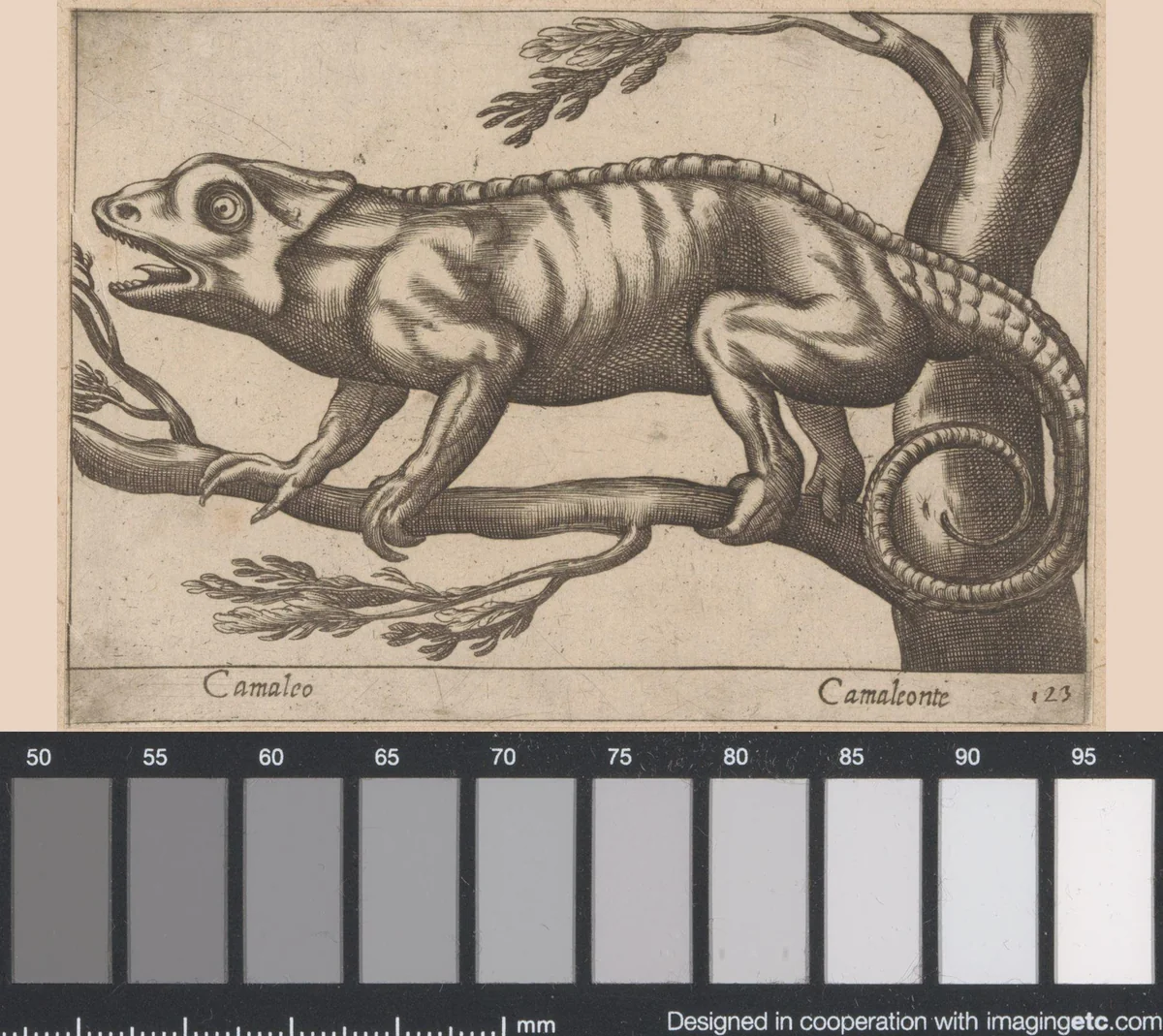 Kameleon by Antonio Tempesta, print, 1565-1630