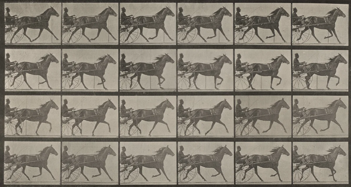 Plate Number 607. "Lizzie M." trotting, harnessed to sulky by Eadweard Muybridge, photograph, 1887