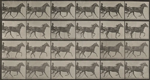 Plate Number 607. "Lizzie M." trotting, harnessed to sulky by Eadweard Muybridge, photograph, 1887