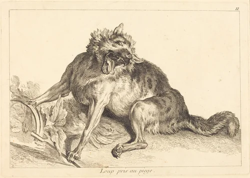 Loup pris au piege (Wolf Caught in a Trap) by Jacques-Philippe Le Bas
Jean Eric Rehn
Jean-Baptiste Oudry, print, 1707-1783