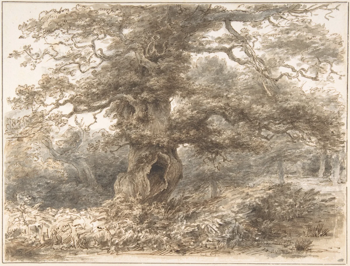 In the Park at Packington by Heneage Finch, drawing, 1770-1812