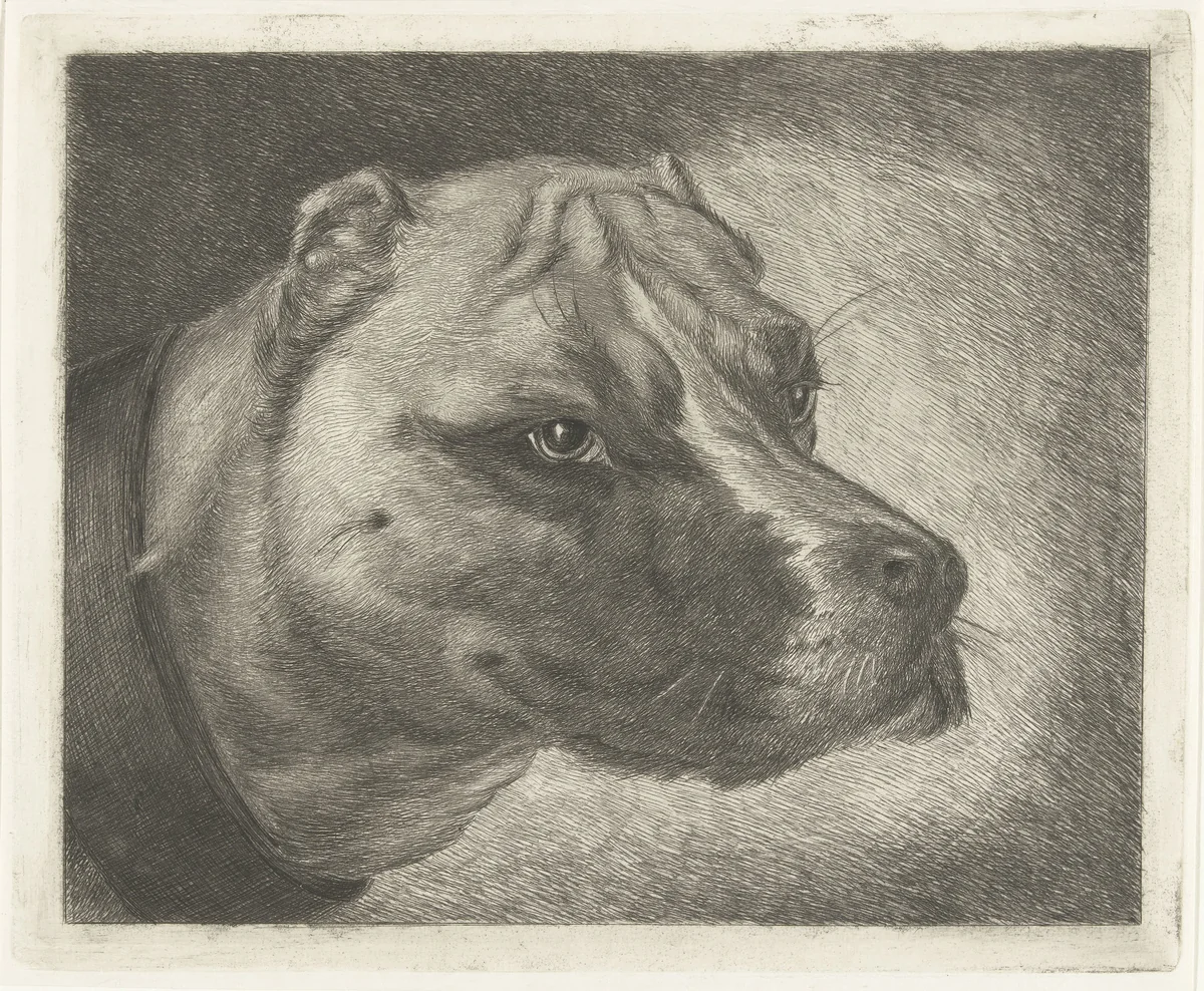Hondekop met halsband by Jacobus Cornelis Gaal, print, 1852