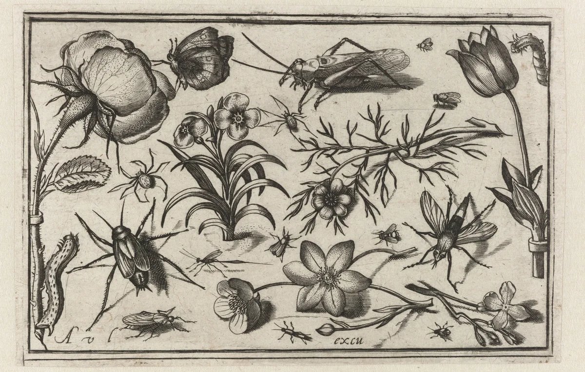 Bloemen en insecten by Unknown, print, 1594