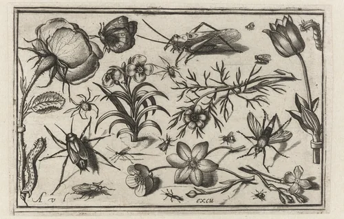 Bloemen en insecten by Unknown, print, 1594