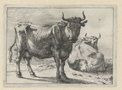Staande en liggende koe by Paulus Potter, print, 1650