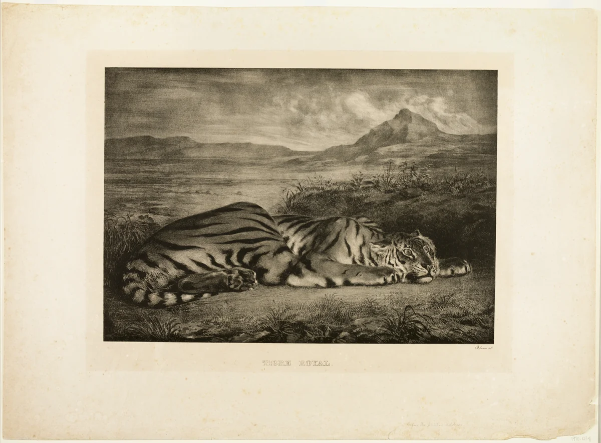Bengal Tiger by Eugène Delacroix, print, 1829