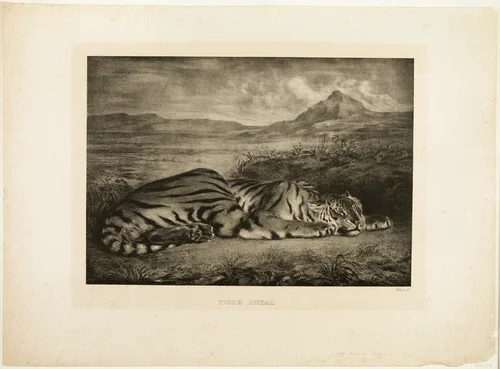 Bengal Tiger by Eugène Delacroix, print, 1829