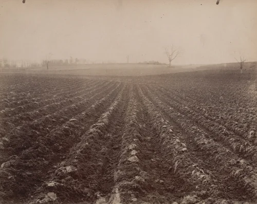 Terrain (Limoges) by Eugène Atget, photograph, 1900