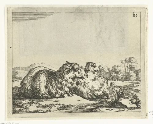 Twee liggende schapen, van achter gezien by Marcus de Bye, print, 1660