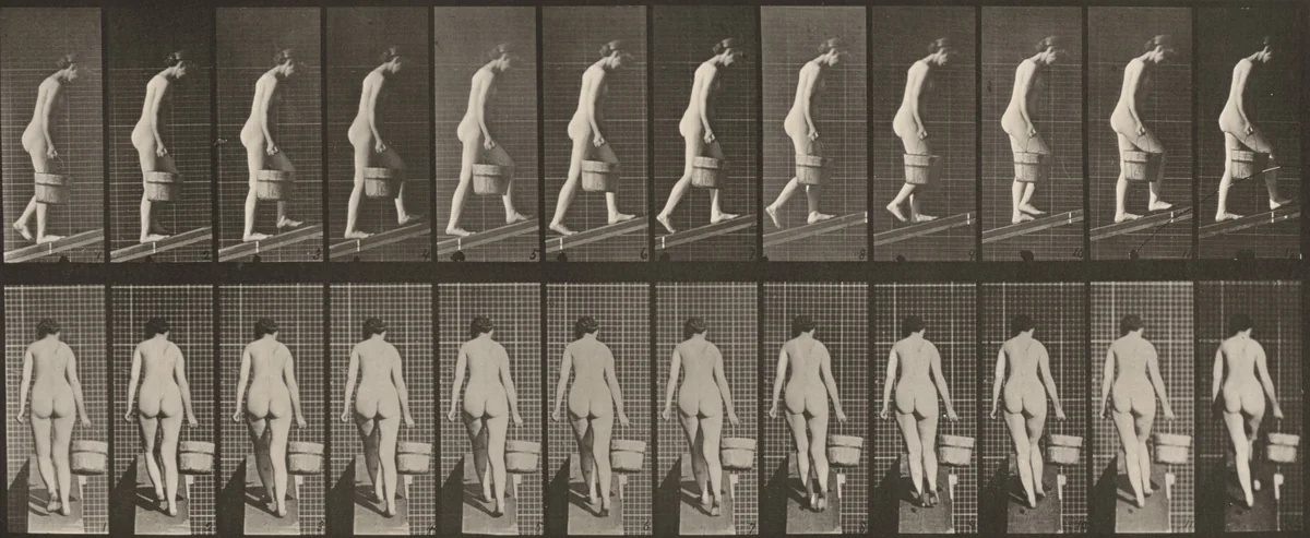 Plate Number 84. Ascending an incline with a bucket of water in right hand by Eadweard Muybridge, photograph, 1887