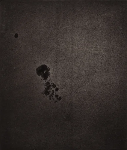 Région Centrale (Taches et Granulations), June 22, 1885, 7h 48m 40s by Jules Janssen, photograph, 1877