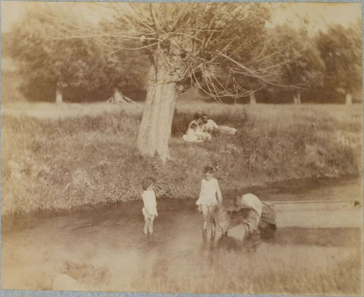 [Three Children and a Dog Playing in the Creek, July 4, 1883] by Thomas Eakins, photograph, 1883