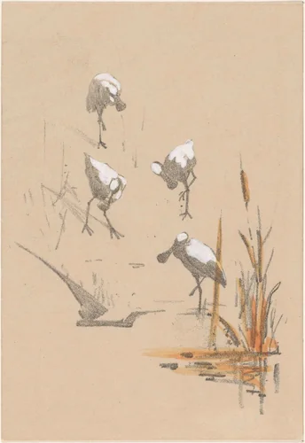 Wenskaart met vier lepelaars by Theo van Hoytema, print, 1878-1917