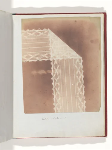 Cordella o Nastro a velo by William Henry Fox Talbot, photograph, 1839