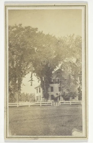 Miss Brown's house and curious elm cross. by H. O. Bly, photograph, 1858-1903