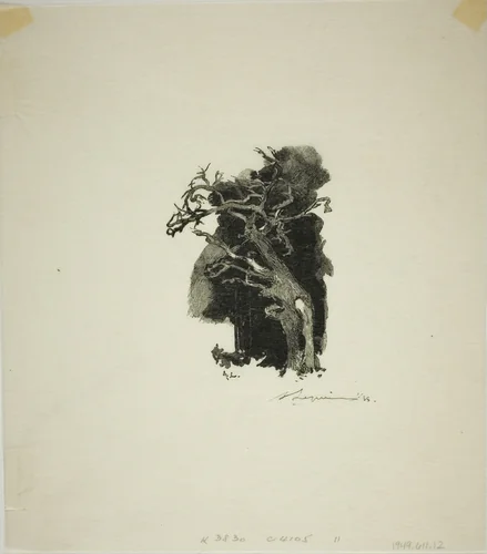 The Spitfire by Louis Auguste Lepère, print, 1908