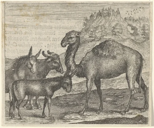 Fabel van de ezel, de buffel de kameel en het muildier by Aegidius Sadeler, print, 1608