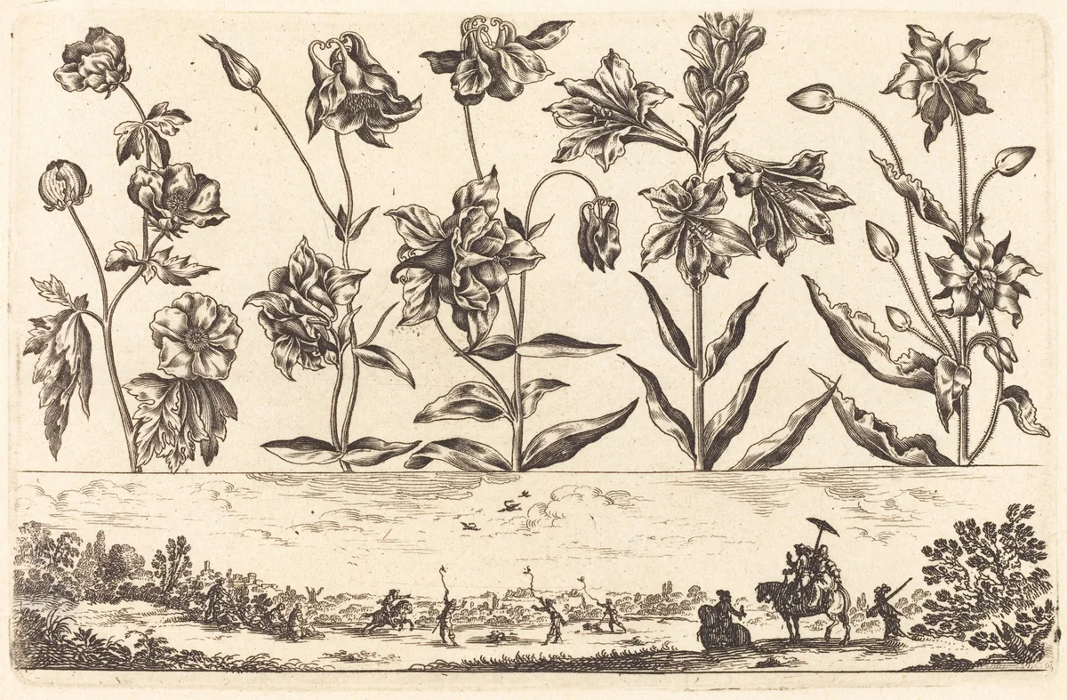 Flower Print no.6 by Nicolas Cochin, print, 1645