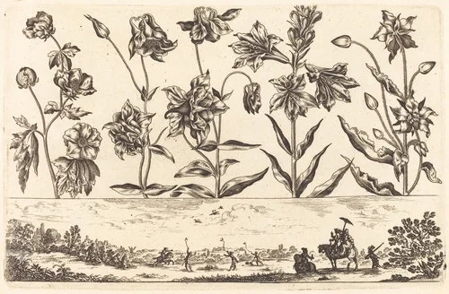 Flower Print no.6 by Nicolas Cochin, print, 1645