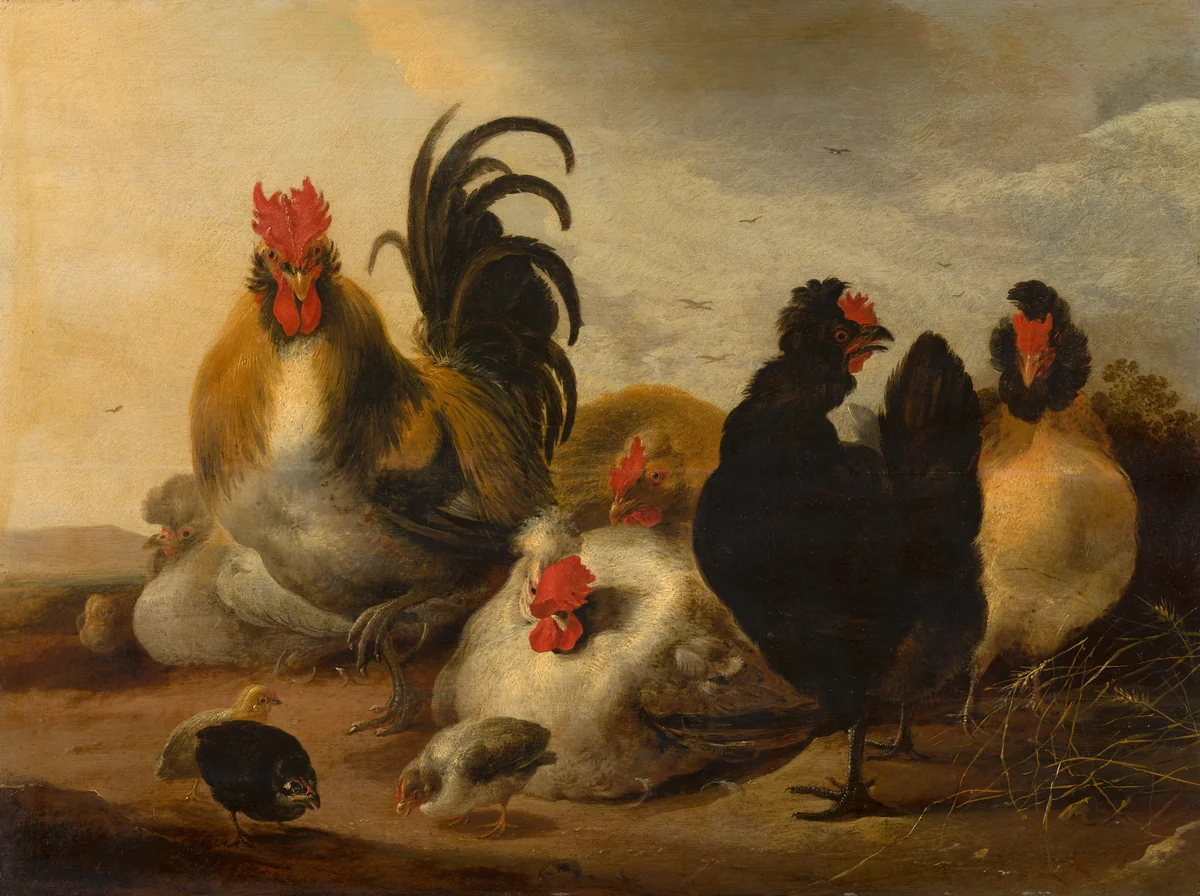 Cock and Hens in a Landscape by Gijsbert Gillisz d' Hondecoeter, painting, 1651