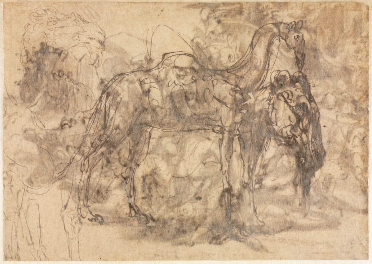 Sketches of Animals (verso) by Perino del Vaga, drawing, 1545-1547