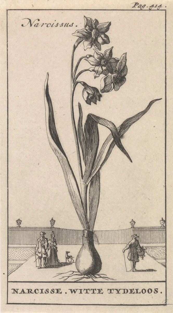 Titelpagina en acht prenten met bloemen by Caspar Luyken, print, 1698