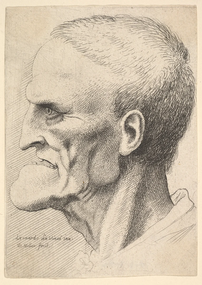 Head of an old man with a pronounced chin, short cropped hair and gaping mouth showing teeth in profile to left by Wenceslaus Hollar, print, 1644-1652
