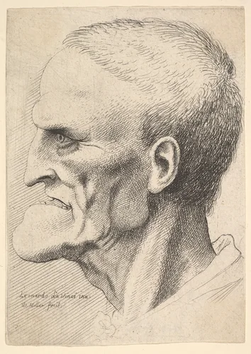Head of an old man with a pronounced chin, short cropped hair and gaping mouth showing teeth in profile to left by Wenceslaus Hollar, print, 1644-1652
