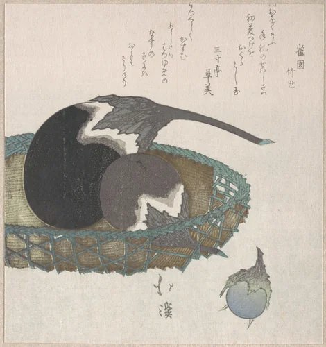 Eggplants in a Basket by Totoya Hokkei (魚屋北渓), print, 1800-1899