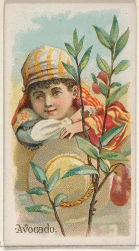 Avocado, from the Fruits series (N12) for Allen & Ginter Cigarettes Brands by Allen & Ginter, print, 1891