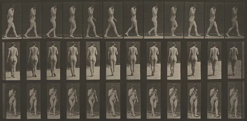 Plate Number 14. Walking, right hand at chin by Eadweard Muybridge, photograph, 1887