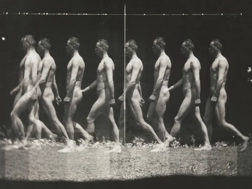 [Man Walking, "Stroboscopic" Photograph] by Thomas Eakins, photograph, 1880-1889