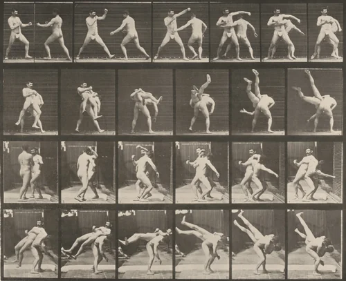 Plate Number 332. Boxing, cross-buttocks by Eadweard Muybridge, photograph, 1887