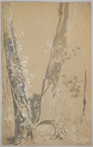 Study of Overgrown Trees; verso: Study of a Cypress and Two Overgrown Trees by Joseph Werner, drawing, 1654-1710