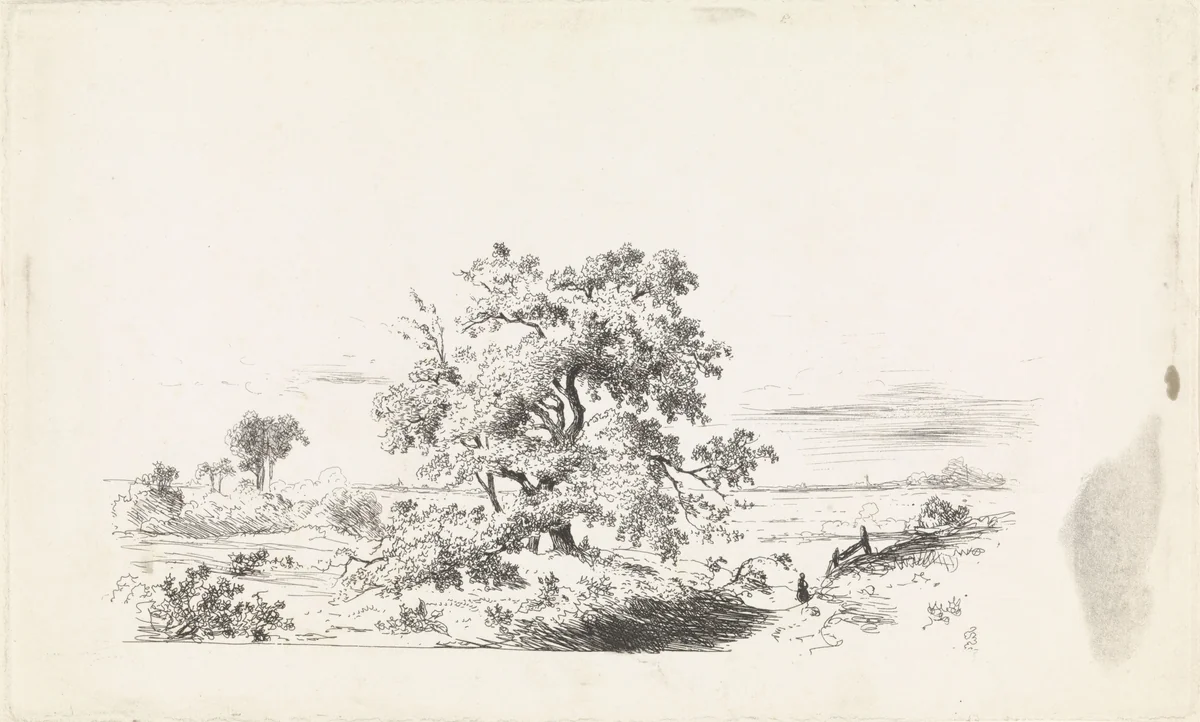 Landschap met grote boom by Alexander Bakhuyzen, print, 1836-1878