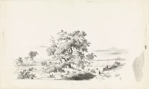 Landschap met grote boom by Alexander Bakhuyzen, print, 1836-1878