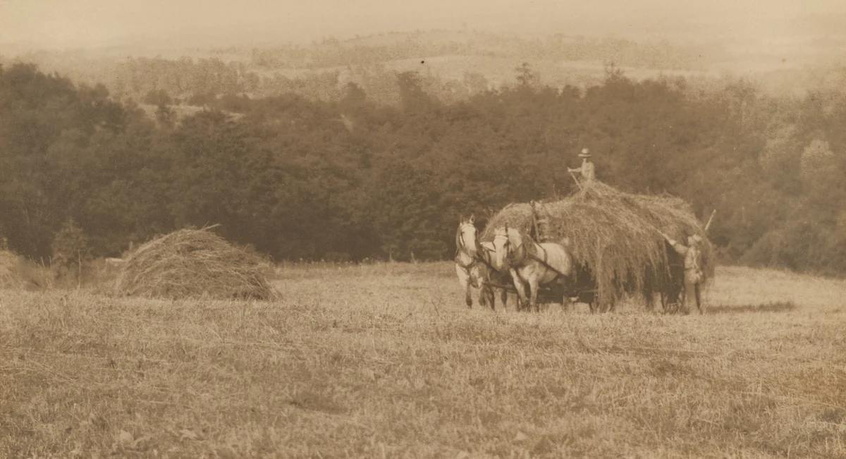 Loading Hay by John G. Bullock, photograph, 1890