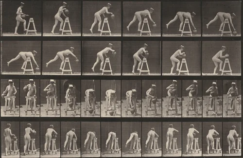 Plate Number 203. Bending over a trestle with a water jar by Eadweard Muybridge, photograph, 1887