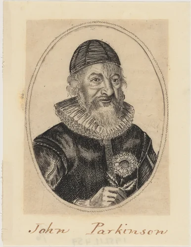 John Parkinson, Apothecary and Herbalist to James I by William Marshall, print, 1640