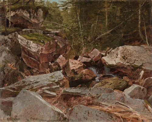 Study, North Conway, New Hampshire by David Johnson, painting, 1851