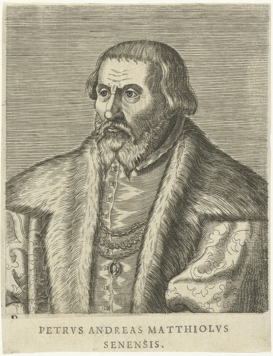 Portret van Pietro Andrea Mattioli by Philips Galle, print, 1572