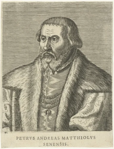 Portret van Pietro Andrea Mattioli by Philips Galle, print, 1572