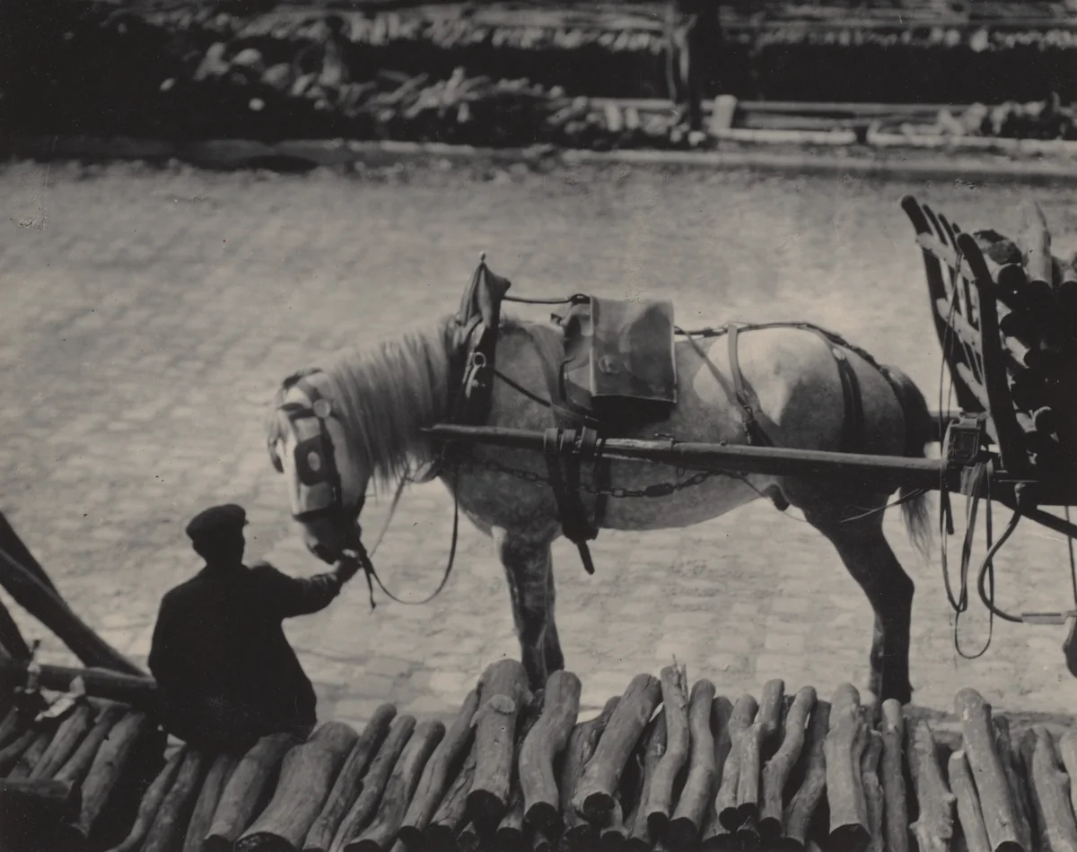 A Snapshot, Paris by Alfred Stieglitz, photograph, 1911