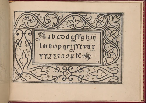Ghirlanda: Di sei vaghi fiori scielti da piu famosi Giardini d'Italia, page 49 (recto) by Pietro Paulo Tozzi, book, 1604
