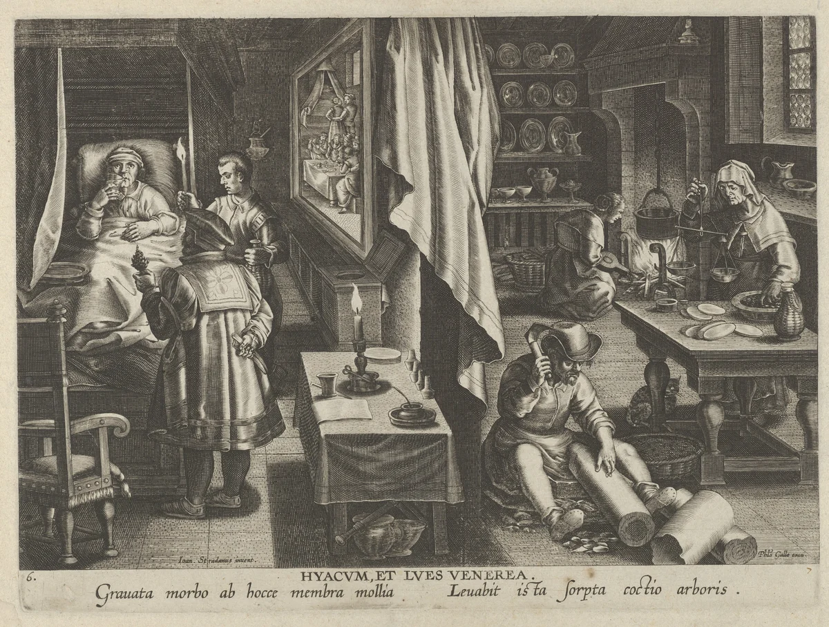 New Inventions of Modern Times [Nova Reperta], The Discovery of Guaicum as a Cure for Veneral Infection, plate 6 by Jan Collaert, print, 1595-1605