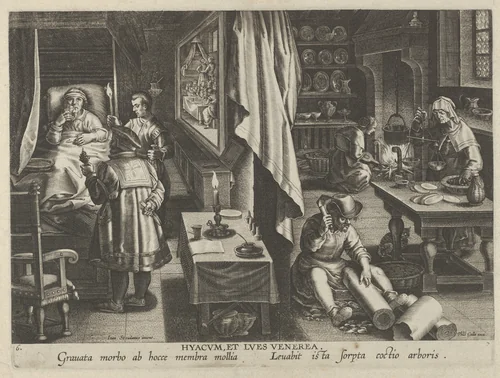 New Inventions of Modern Times [Nova Reperta], The Discovery of Guaicum as a Cure for Veneral Infection, plate 6 by Jan Collaert, print, 1595-1605