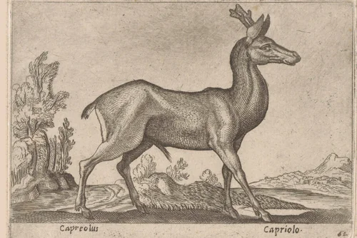 Hert by Antonio Tempesta, print, 1565-1630