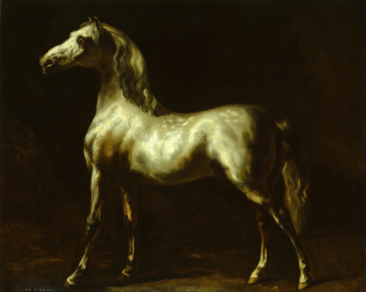 Gray Stallion by Théodore Gericault, painting, 1850