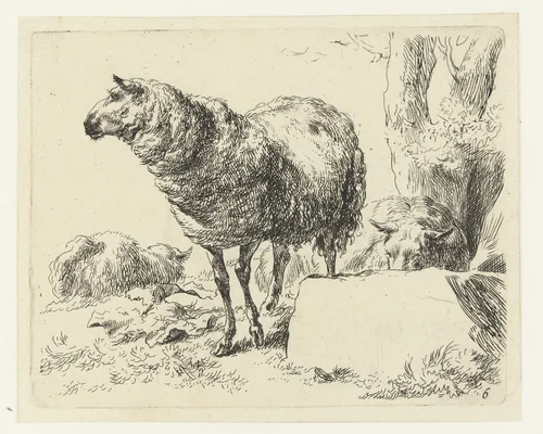 Drie schapen by Nicolaes Pietersz Berchem, print, 1648-1652