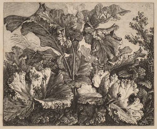 Small Plant Study: a Burdock, Delicate Tufts of Grass at Left by Carl Wilhelm Kolbe, print, 1826-1828